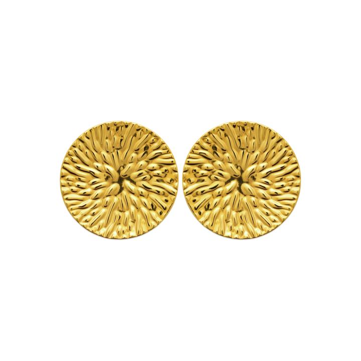 Boucles d’Oreilles SORAYA – Acier Inoxydable Doré