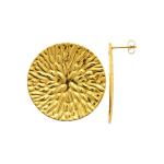 Boucles d’Oreilles SORAYA – Acier Inoxydable Doré